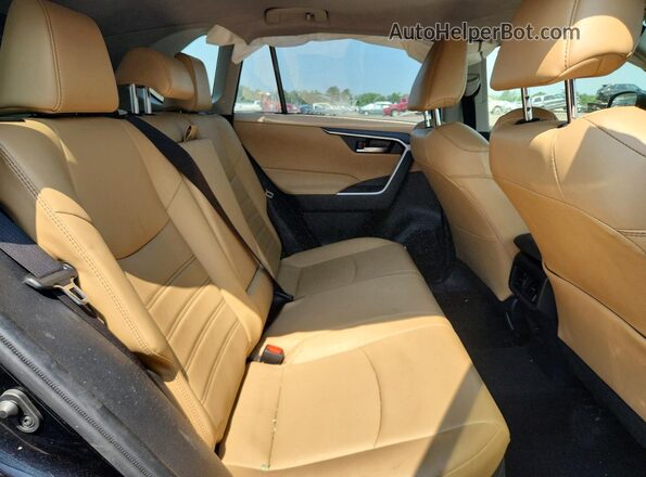 JTMB6RFV3MD041073 2021 TOYOTA RAV4 Black Rear seats view