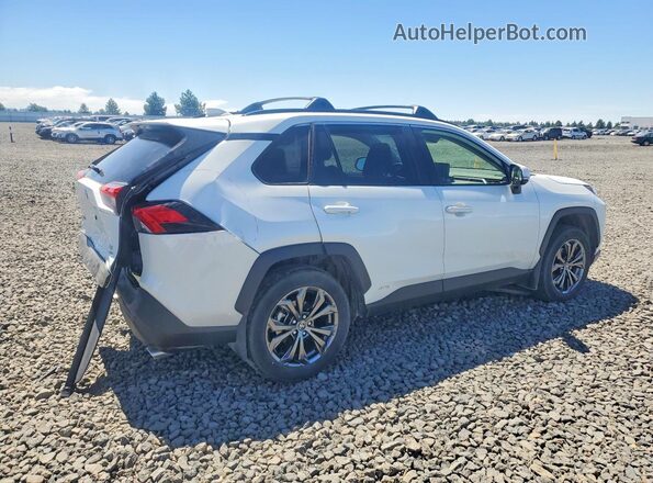 JTMB6RFV4SJ091060 2025 TOYOTA RAV4 White უკანა მარჯვენა