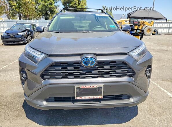 JTMB6RFV7RD137621 2024 TOYOTA RAV4 Gray Вид спереду