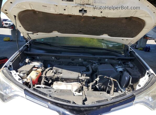 JTMBFREV0GJ071560 2016 TOYOTA RAV4 White Widok wnętrza z tyłu