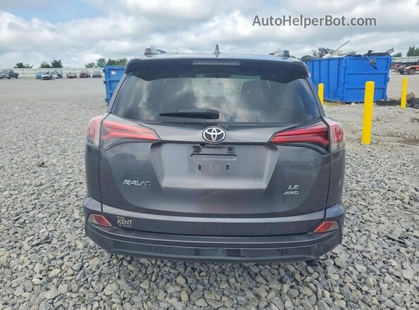 JTMBFREV0GJ091419 2016 TOYOTA RAV4 Gray Вид ззаду