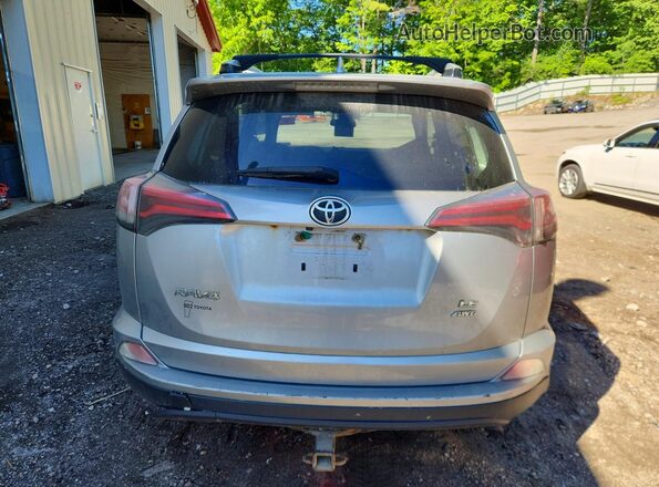 JTMBFREV0JJ200811 2018 TOYOTA RAV4 Silver Հետևի տեսք