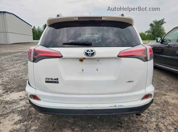 JTMBFREV1GJ070028 2016 TOYOTA RAV4 White Rear view