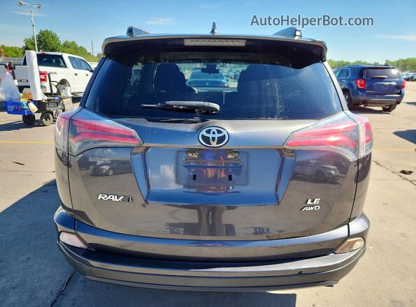 JTMBFREV1HJ124803 2017 TOYOTA RAV4 Gray Rear view