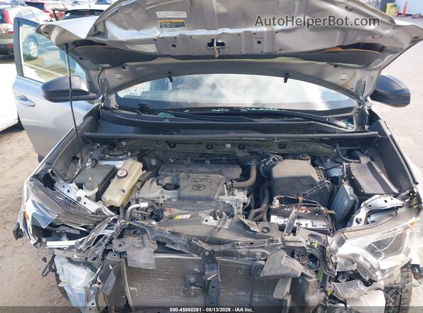 JTMBFREV1JJ249855 2018 TOYOTA RAV4 Silver Вид ззаду