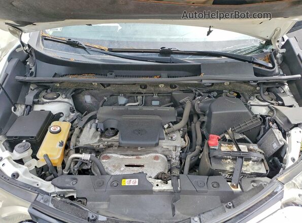 JTMBFREV4JJ745796 2018 TOYOTA RAV4 Белый Вид подкапотного пространства