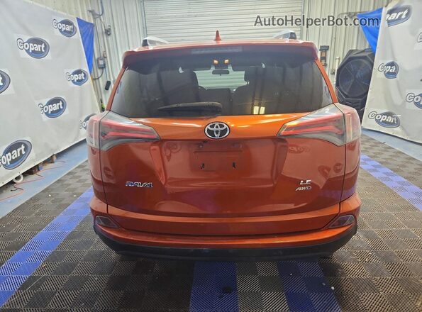 JTMBFREV6GJ098391 2016 TOYOTA RAV4 Orange Вид ззаду