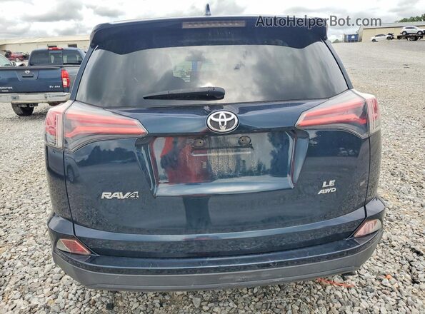 JTMBFREV8HD219888 2017 TOYOTA RAV4 Blue Widok z tyłu