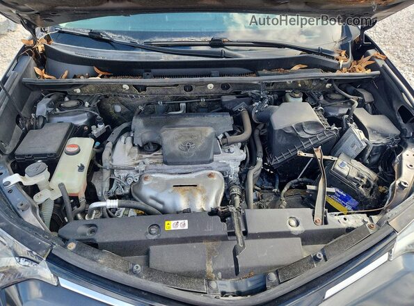 JTMBFREVXGJ091427 2016 TOYOTA RAV4 Gray უკანა სალონის ხედი