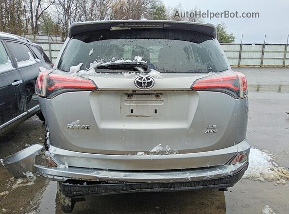 JTMBFREVXJD250713 2018 TOYOTA RAV4 Silver უკანა ხედი