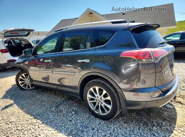 JTMDFREV7GJ087540 2016 TOYOTA RAV4 Charcoal Задня ліва чверть