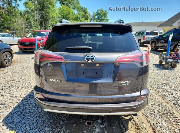 JTMDFREV7GJ087540 2016 TOYOTA RAV4 Charcoal Вид ззаду