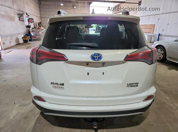 JTMDJREV0GD032103 2016 TOYOTA RAV4 White Rear view