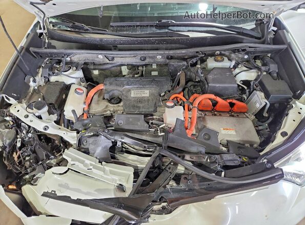 JTMDJREV0GD032103 2016 TOYOTA RAV4 White Rear interior view