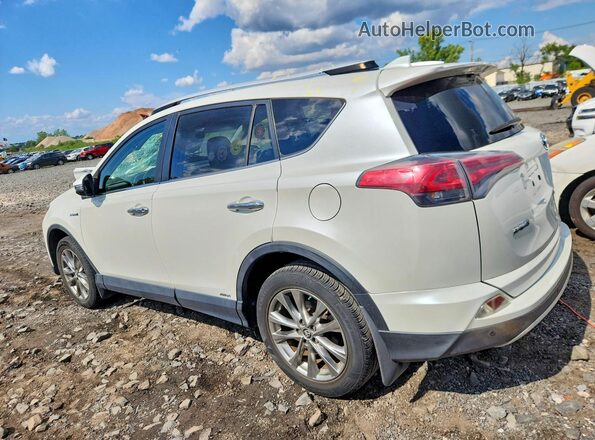 JTMDJREV1GD003452 2016 TOYOTA RAV4 White Tył lewy