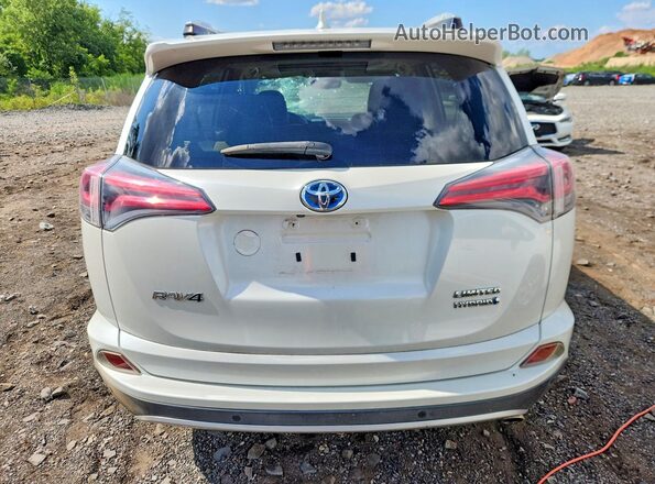 JTMDJREV1GD003452 2016 TOYOTA RAV4 White Widok z tyłu
