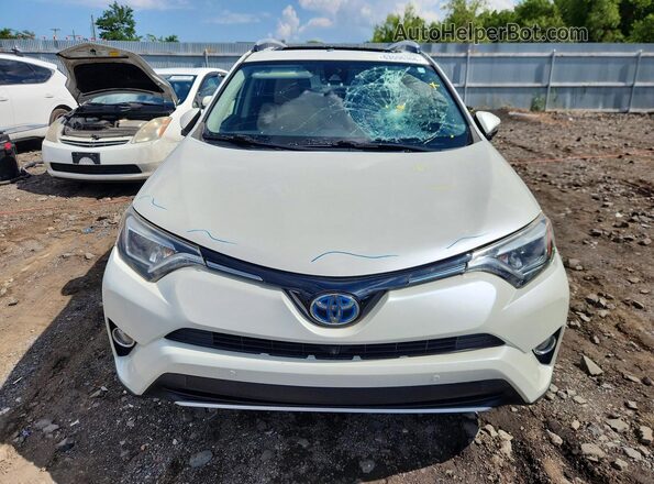 JTMDJREV1GD003452 2016 TOYOTA RAV4 White Widok z przodu