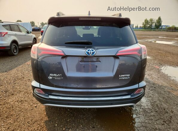 JTMDJREV1HD093199 2017 TOYOTA RAV4 Gray Rear view