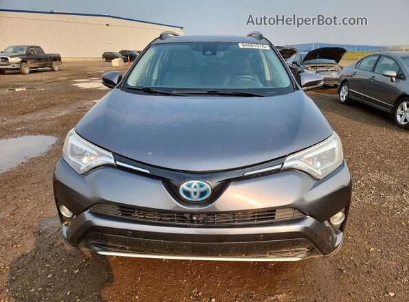 JTMDJREV1HD093199 2017 TOYOTA RAV4 Gray Front view