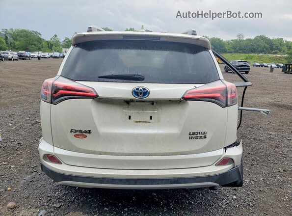 JTMDJREV2GD042423 2016 TOYOTA RAV4 White Հետևի տեսք