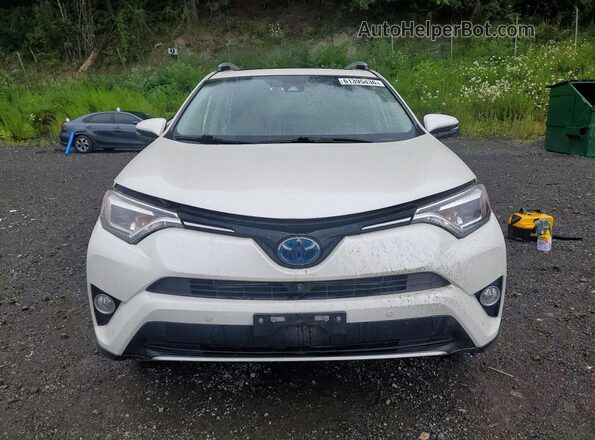 JTMDJREV2GD042423 2016 TOYOTA RAV4 White Դիմացի տեսք