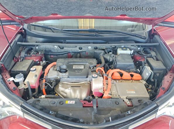 JTMDJREV2JD219723 2018 TOYOTA RAV4 Red Սալոնի հետևի տեսք