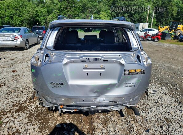 JTMDJREV6HD144499 2017 TOYOTA RAV4 Silver Հետևի տեսք