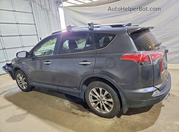 JTMDJREV7GD048914 2016 TOYOTA RAV4 Gray Задня ліва чверть