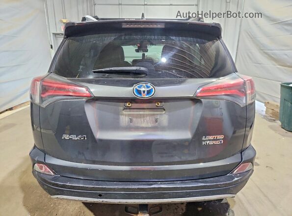 JTMDJREV7GD048914 2016 TOYOTA RAV4 Gray Вид ззаду