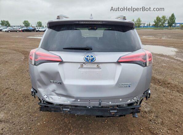 JTMDJREV7JD201444 2018 TOYOTA RAV4 Silver Rear view