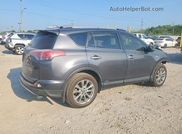 JTMDJREV9GD043696 2016 TOYOTA RAV4 Gray Հետևի աջ