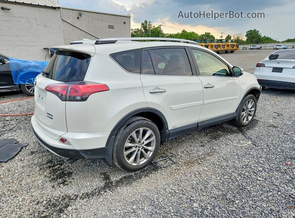 JTMDJREVXGD028706 2016 TOYOTA RAV4 White Rear right