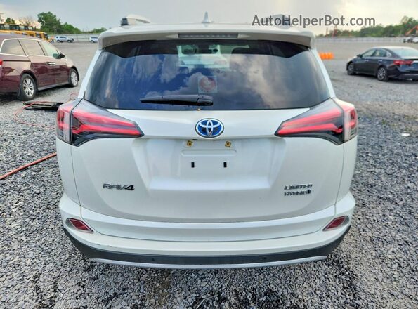 JTMDJREVXGD028706 2016 TOYOTA RAV4 White Rear view