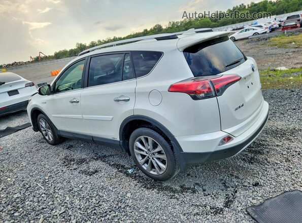 JTMDJREVXGD028706 2016 TOYOTA RAV4 White Rear left