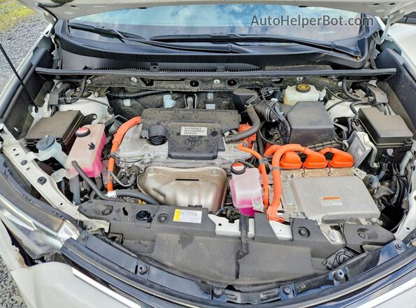 JTMDJREVXGD028706 2016 TOYOTA RAV4 White Engine compartment view