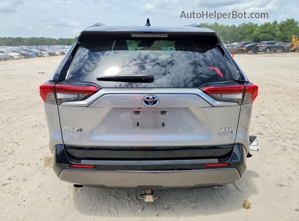 JTME6RFV4LD502843 2020 TOYOTA RAV4 Silver Rear view