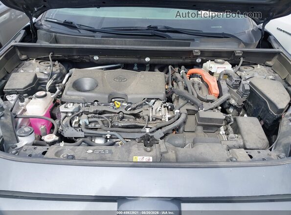 JTME6RFVXLD503074 2020 TOYOTA RAV4 HYBRID Gray Vista trasera
