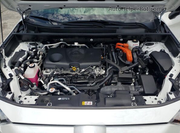 JTMEB3FV4PD131973 2023 TOYOTA RAV4 Two Tone Շարժիչի բաժամունքի տեսք