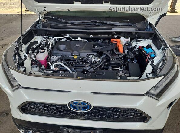 JTMEB3FVXND079374 2022 TOYOTA RAV4 Белый Вид задней части салона