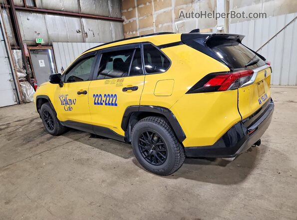 JTMEWRFV7KD510823 2019 TOYOTA RAV4 Желтый Задняя левая четверть