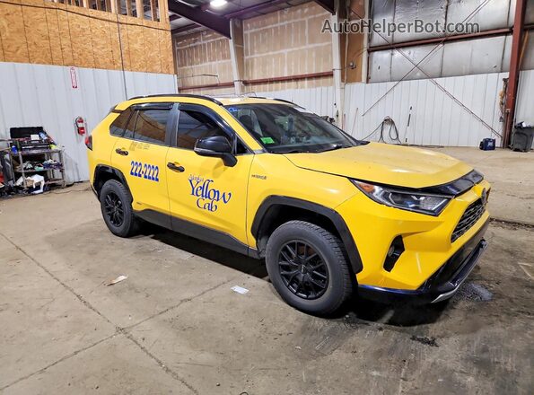 JTMEWRFV7KD510823 2019 TOYOTA RAV4 Желтый Передняя правая четверть
