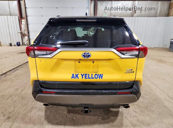 JTMEWRFV7KD510823 2019 TOYOTA RAV4 Желтый Вид сзади