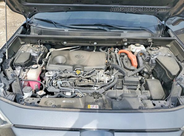 JTMEWRFV8LD539233 2020 TOYOTA RAV4 Серый Вид задней части салона