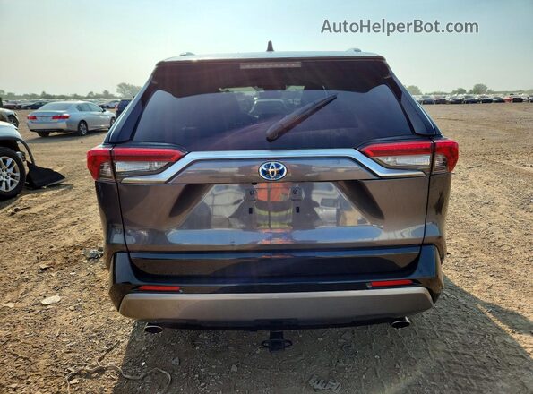 JTMEWRFV8LJ032480 2020 TOYOTA RAV4 Серый Вид сзади