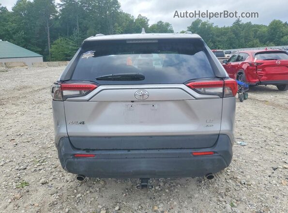 JTMF1RFVXKD012974 2019 TOYOTA RAV4 Silver Вид ззаду