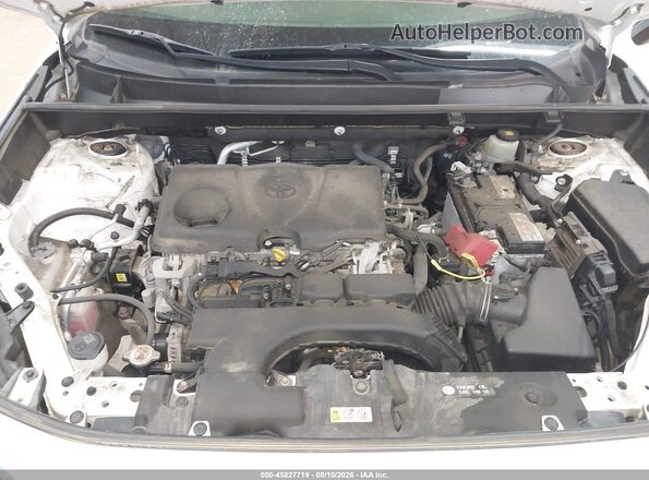JTMG1RFV1KD505012 2019 TOYOTA RAV4 White Rear view