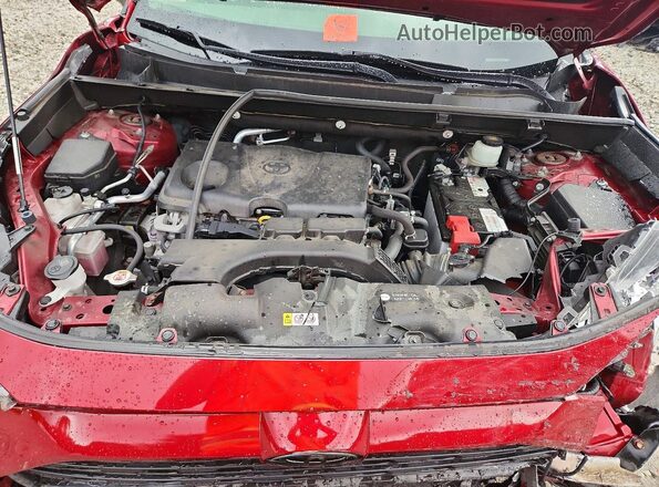 JTMG1RFV1LD048624 2020 TOYOTA RAV4 Red Սալոնի հետևի տեսք