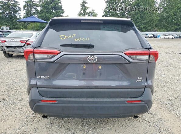 JTMG1RFV1SD113292 2025 TOYOTA RAV4 Gray Widok z tyłu