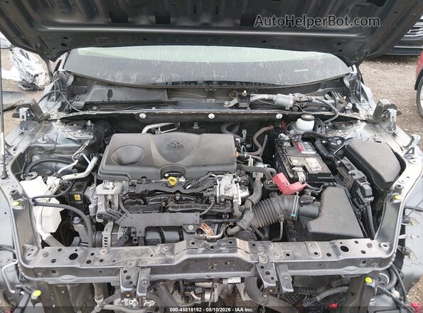 JTMG1RFVXKD027141 2019 TOYOTA RAV4 Серый Вид сзади