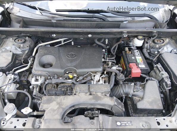 JTMH1RFV9KD506669 2019 TOYOTA RAV4 Gray უკანა ხედი
